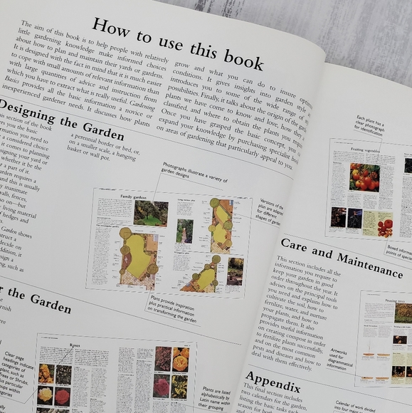 Gardening Basics: How to design ... - Picture 3 of 11